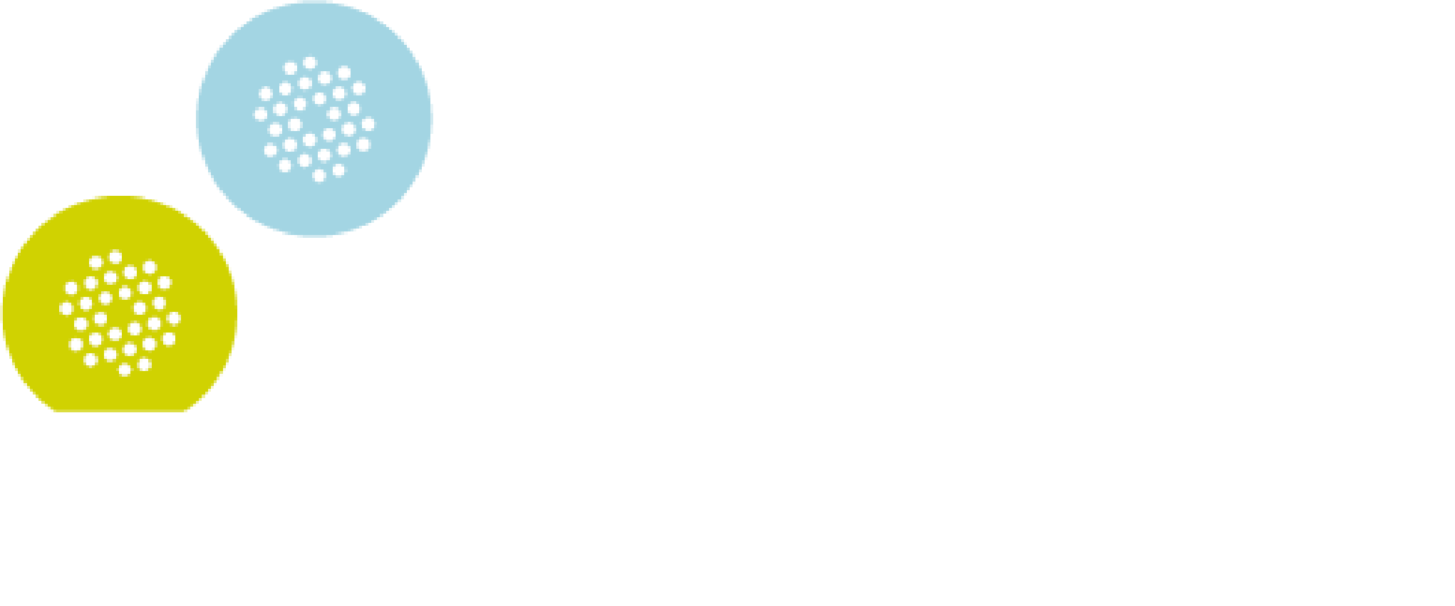 Logo BA_Wit zGV 2023 test Cloud-Bright-Access Glasvezel voor ondernemers