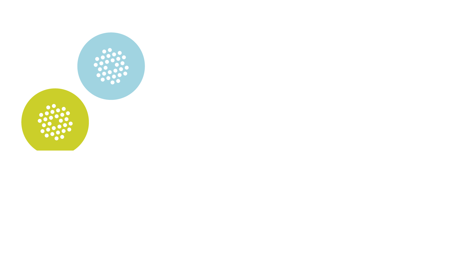 Bright Access